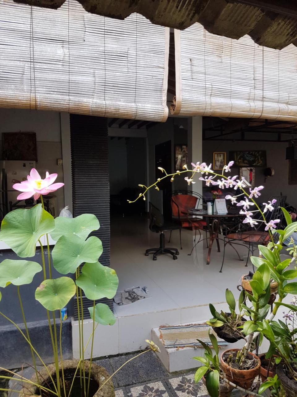 Mawar Homestay Canggu Exterior photo