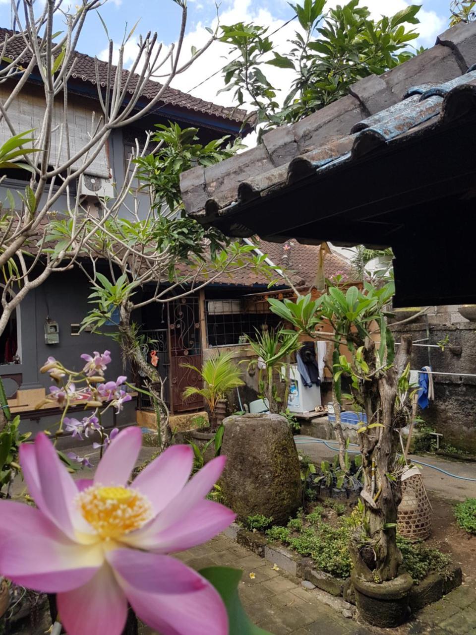 Mawar Homestay Canggu Exterior photo